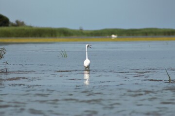 Vylkove, Ukraine: The Danube Biosphere Reserve