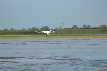 Vylkove, Ukraine: The Danube Biosphere Reserve