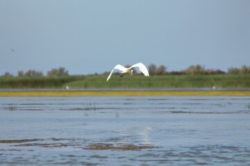 Vylkove, Ukraine: The Danube Biosphere Reserve