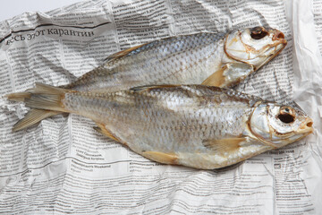 MOSCOW / RUSSIA - 13/05/2020 close up top view shot of two dried salted vobla (Caspian Roach) fish...