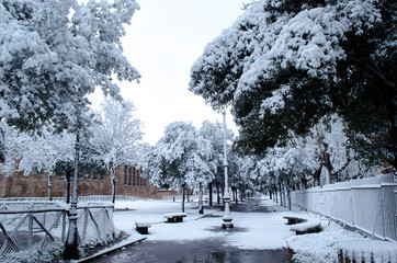 Parco di Roma con la neve