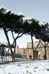 L'Arco di Costantino dietro pini innevati, Roma