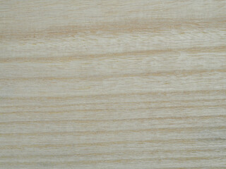 Holzmaserung Blauglockenbaum