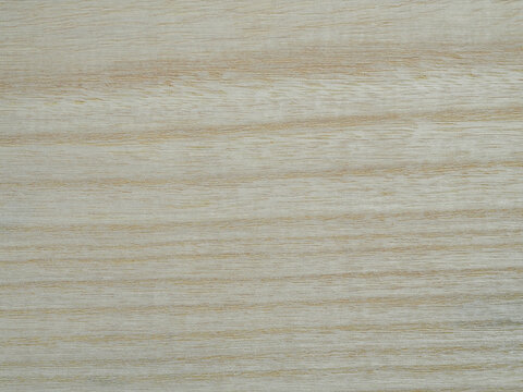 Holzmaserung Blauglockenbaum