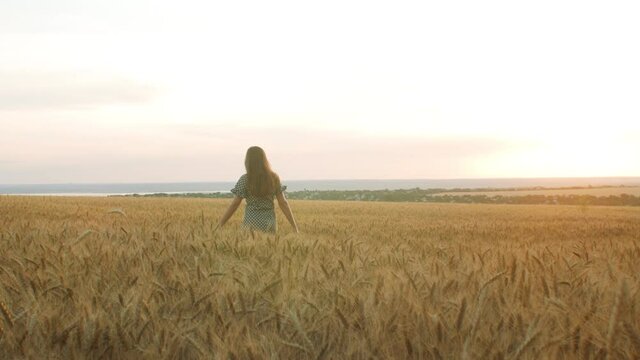 beautiful girl in dress walking on field of spikelets in ripe golden wheat, young pretty woman enjoying rural landscape, happiness and freedom emotion