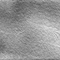 Monochrome texture background. Image includes the effect the black and white tones. Surface looks rough. Gray printing element.