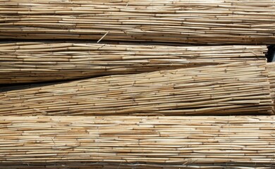 Closeup shot of dry bamboo branch piles under the sunlight at daytime