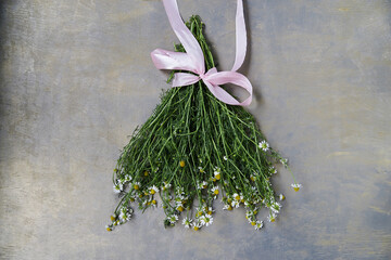 Bouquet of tiny white camomiles with green stems tied with pink ribbon on grey wooden background. Natural picture of wild flowers. Ecological texture for poems, letters, romantic notes.
