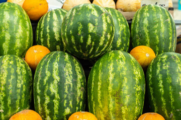 Close up of group of fresh green watermelons and yellow sweet melons ready for sale in organic farm. Fresh fruits concept