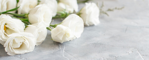 Obraz na płótnie Canvas White flowers on a grey background close up