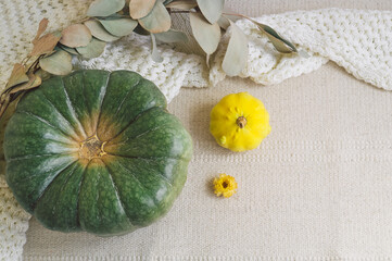 Festive autumn decor from pumpkins. Concept of Thanksgiving day or Halloween.