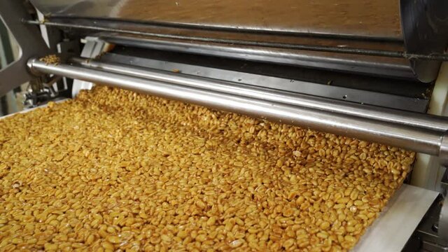 big bar of peanut brittle on industrial conveyor line. confectionery factory.