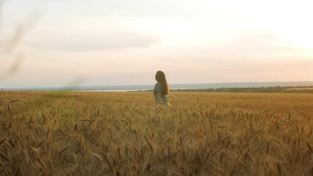 beautiful girl in dress walking on field of spikelets in ripe golden wheat, young pretty woman enjoying rural landscape, happiness and freedom emotion