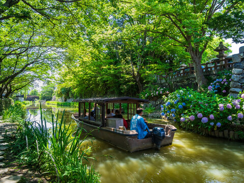 近江八幡八幡堀」の写真素材 | 926件の無料イラスト画像 | Adobe Stock