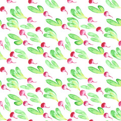 Patten food watercolor vegetables radish pink with leaves.