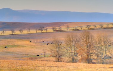 WINTER LANDSCAPES southern Drakensberg, Kwazulu Natal, South Africa 