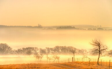 WINTER DAWN IN THE UMZIMKULU VALLEY, Kwazulu Natal, South Africa