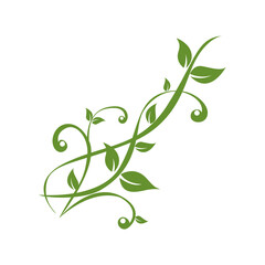 green plants tendril on white background vector illustration EPS10 - obrazy, fototapety, plakaty
