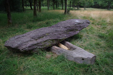 Obraz premium Menhirs de Monteneuf