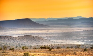 DROUGHT IN THE KAROO , Caledon area, Eastern Cape