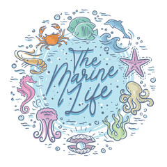 Marine life cute illustration theme