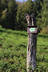 Widok na strzałkę wskazującą kierunek © Sebastian Gacki