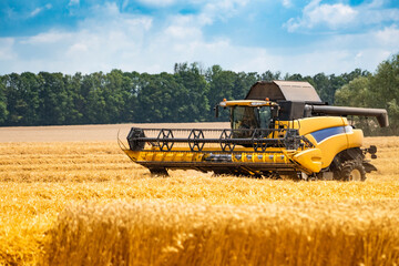 Obraz premium Large modern yellow combine for harvesting grain in the field. Golden ears of wheat against the background of the forest and blue sky.