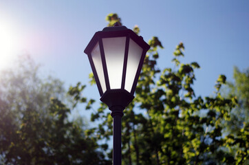 Street light in the park with sunshine and blue sky in the morning, autumn, Russia, Saint petersburg