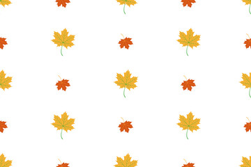 Fototapeta na wymiar maple leaves on a white background. Seamless texture.