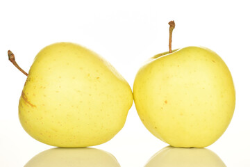 Yellow apples, close-up, on a white background.