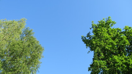 Fototapeta premium Wolkenloser Himmel 08