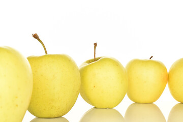 Yellow apples, close-up, on a white background.