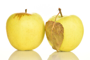 Yellow apples, close-up, on a white background.