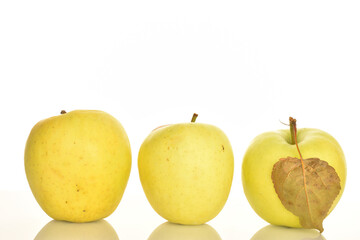 Yellow apples, close-up, on a white background.