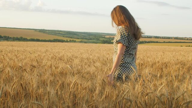 beautiful girl in dress walking on field of spikelets in ripe golden wheat, young pretty woman enjoying rural landscape, happiness and freedom emotion