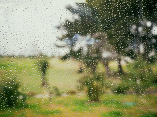 View through wet glass on a green lawn and trees