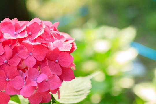 高塔山公園images Browse 230 Stock Photos Vectors And Video Adobe Stock