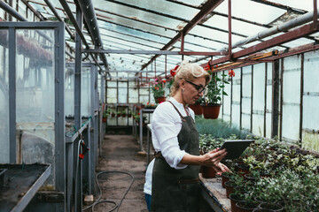middle aged woman working in greenhouse flower nursery