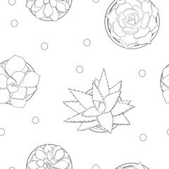 Seamless pattern with succulents. Black outline on a white background. Black and white vector illustration.