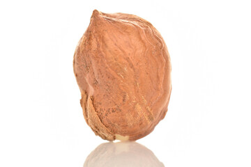 Hazelnuts, macro, on a white background.