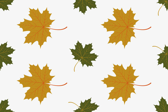 Maple leaves on a light gray background. Vector graphics. Seamless texture.