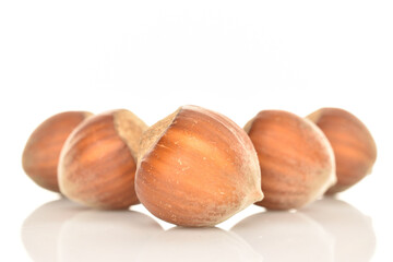 Hazelnuts, macro, on a white background.