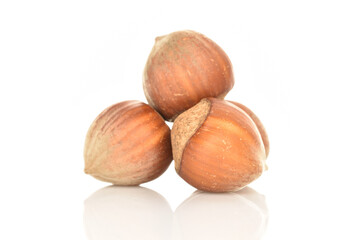 Hazelnuts, macro, on a white background.