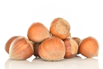 Obraz premium Hazelnuts, macro, on a white background.
