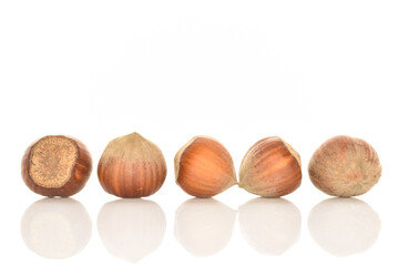 Hazelnuts, macro, on a white background.