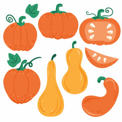 Pumpkin set. Orange and yellow pumpkins of various shapes and sizes. Autumn harvest. For halloween and thanksgiving day design. Flat vector doodle cartoon elements