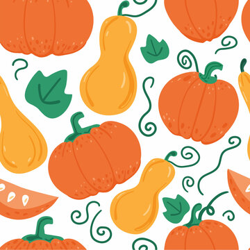 Pumpkin seamless pattern. Orange pampkin isolated on white. Autumn harvest. For halloween and thanksgiving day design. Vector doodle cartoon background
