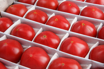 close up detailed corner view background wallpaper shot of rows and lines of large tasty red ripe tomatoes in a white crate box