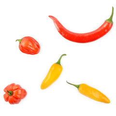 Chili peppers isolated on white background. Top view.