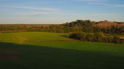 Paysage landais, aux alentours de Labastide-d'Armagnac